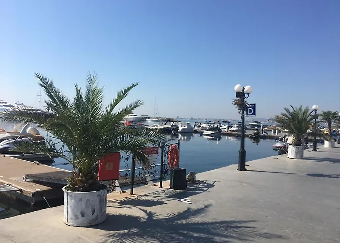 Fregata 15 סבטי ולאס